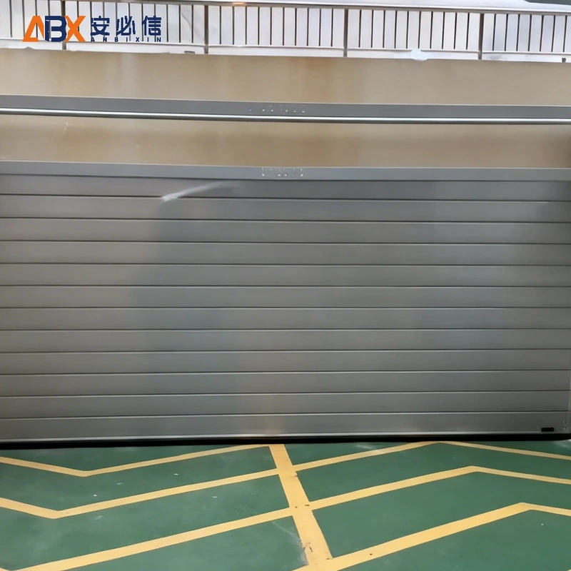 胡杨河洁净室高速门